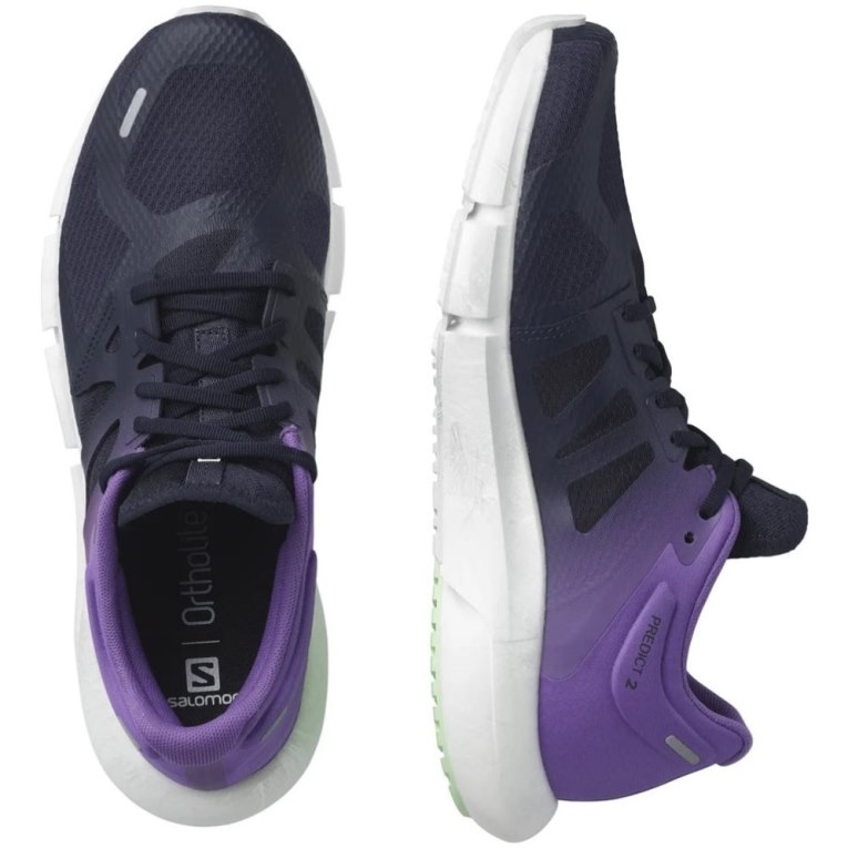 Navy / Purple Salomon Predict 2 Men's Running Shoes | PH 13028W